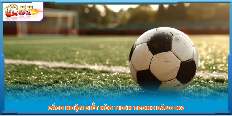 Các kiểu kèo Châu Á người chơi gặp nhiều