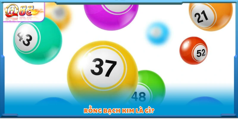 Soi cầu Rồng Bạch Kim là gì?