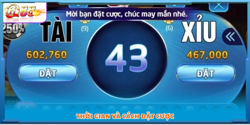 Thời gian đặt cược và quy trình tham gia